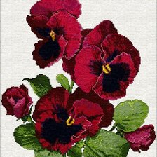 Схема вышивки «анютки»