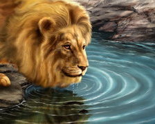 Схема вышивки «лев»