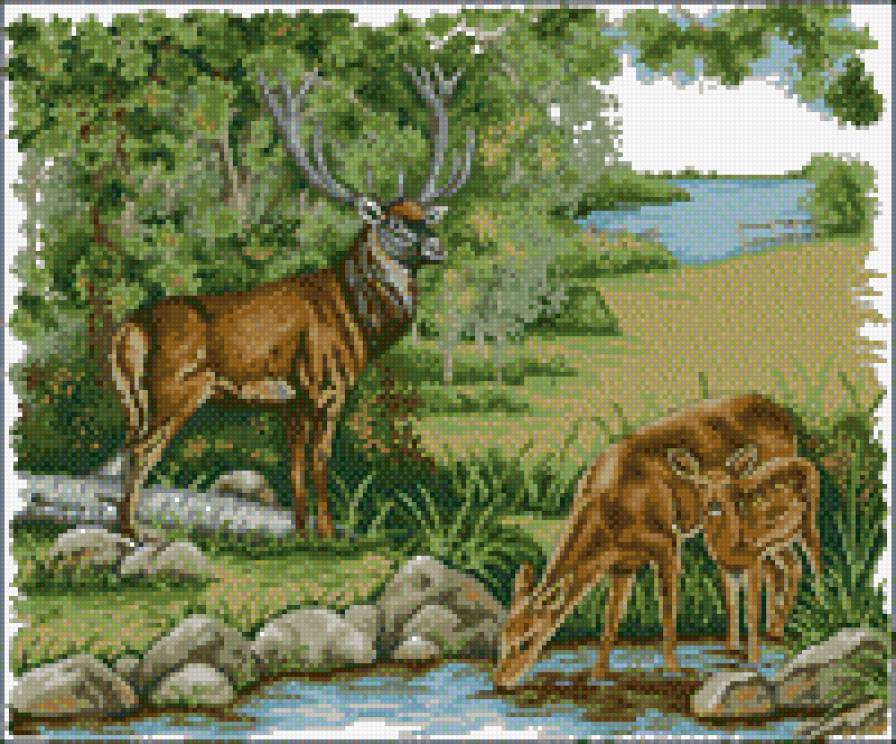 олени на водопое - животные, олени - предпросмотр