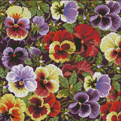 анюткины глазки - цветы - оригинал