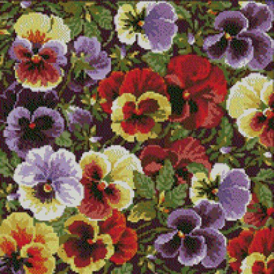 анюткины глазки - цветы - предпросмотр