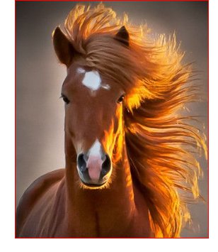 золотой конь - конь, лошадь, животное - оригинал