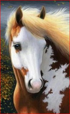 Милашка - конь, лошадь, животное - оригинал