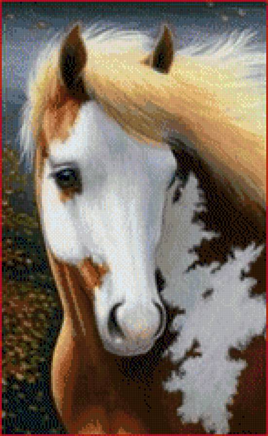 Милашка - животное, лошадь, конь - предпросмотр