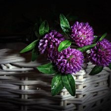 Схема вышивки «№585170»