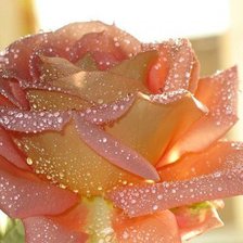 Схема вышивки «№585190»