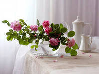 РОЗОВЫЕ РОЗЫ - цветы, сервиз, натюрморт - оригинал