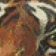 Предпросмотр схемы вышивки «Леопард.Гай Кохелич» (№585256)