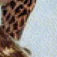 Предпросмотр схемы вышивки «Леопард.Гай Кохелич» (№585257)