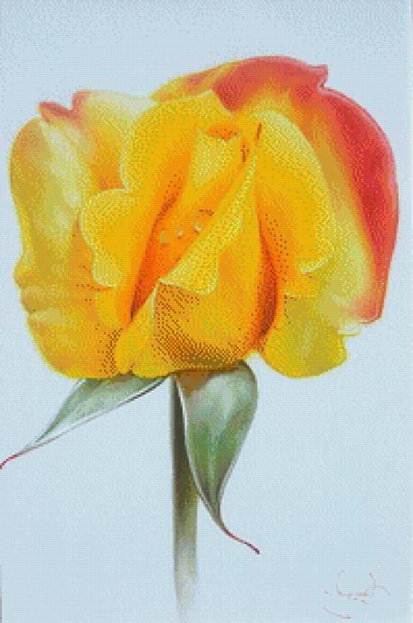 Розы.Лучков Василий - живопись, цветы, розы, акварель, лучков василий - предпросмотр