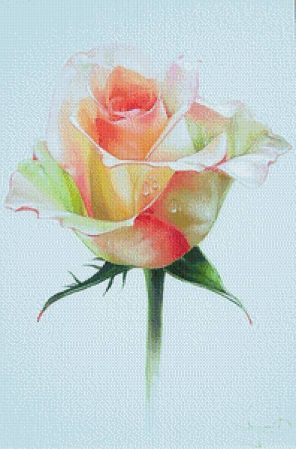 Розы.Лучков Василий - розы, лучков василий, живопись, акварель, цветы - предпросмотр