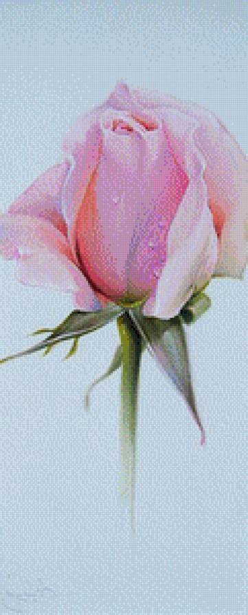 Розы.Лучков Василий - цветы, розы, акварель, живопись, лучков василий - предпросмотр