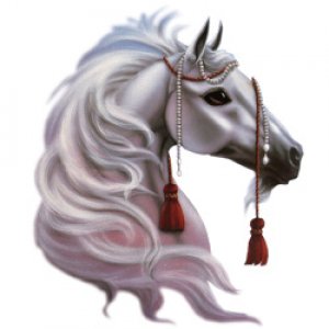 белая - лошадь - оригинал