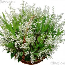 Схема вышивки «4»