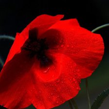 Схема вышивки «3»