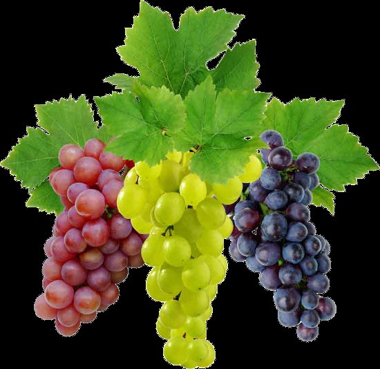 2 - виноград, фрукты - оригинал