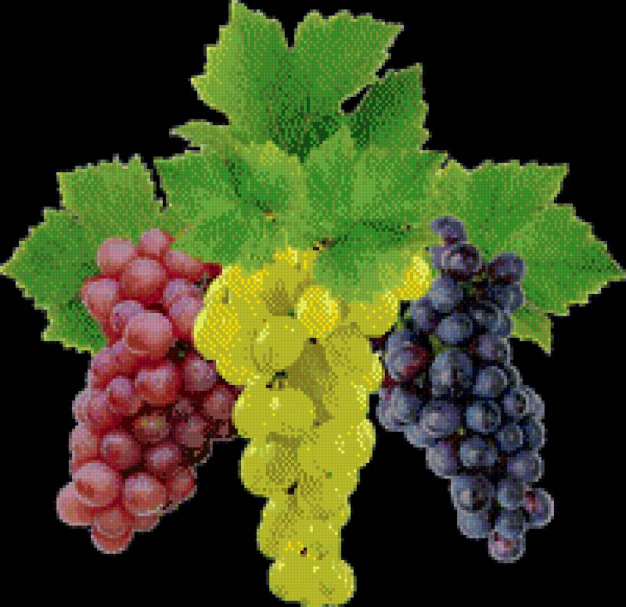 2 - фрукты, виноград - предпросмотр