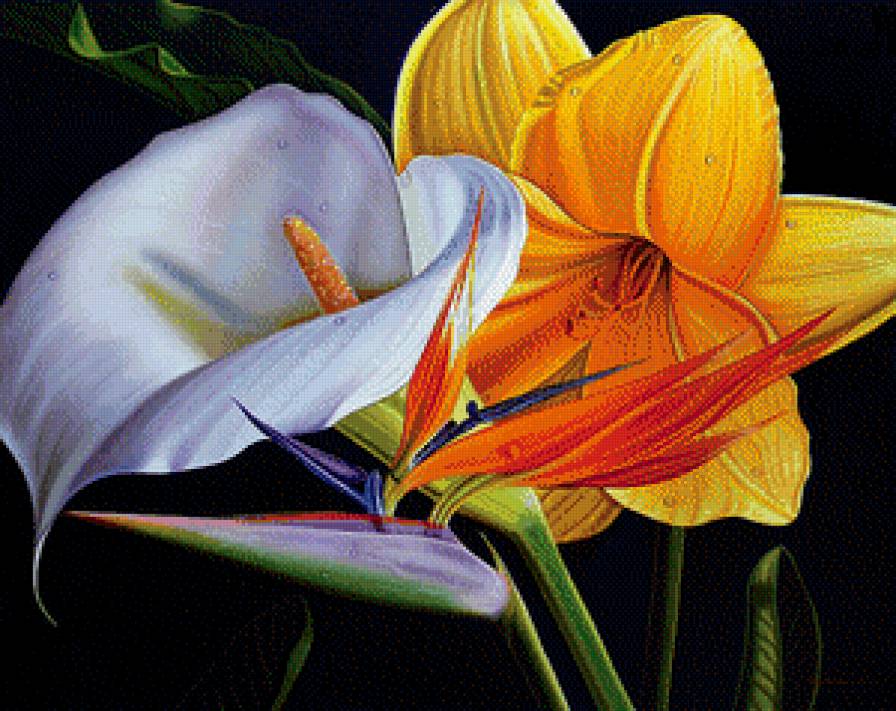 №585353 - предпросмотр