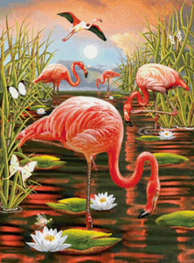 №585361 - птицы - предпросмотр