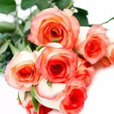 Схема вышивки «№585446»