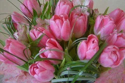 №585460 - цветы - оригинал