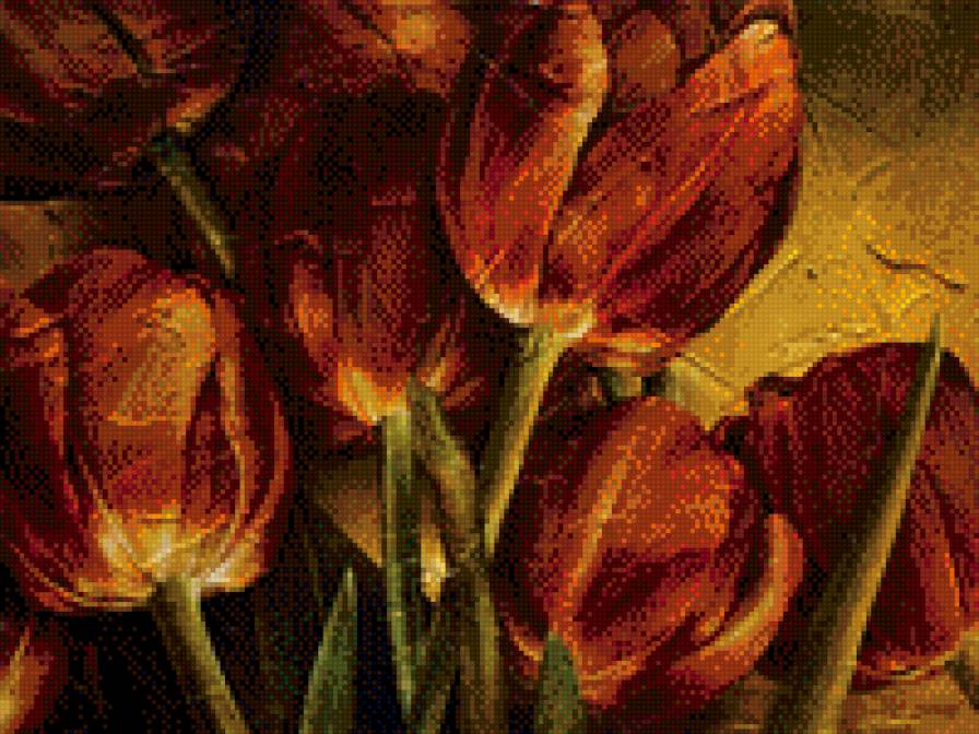 тюльпаны - предпросмотр