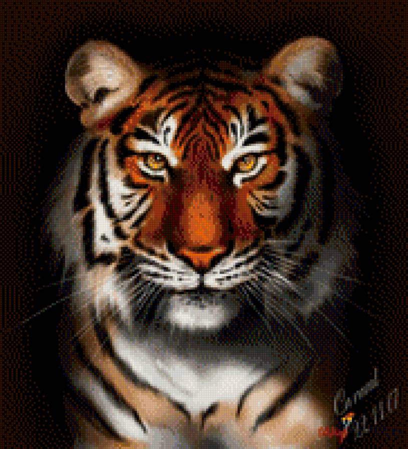 Тигр - предпросмотр