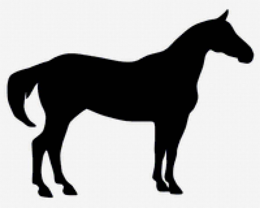 Лошадь черно-белая - черно, белая, лошадь - предпросмотр