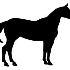 Лошадь черно-белая