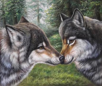 влюбленные волки - волки, лес - оригинал