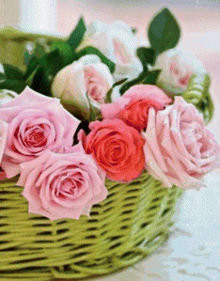 №585731 - розы - предпросмотр