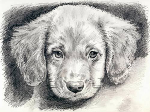 №585868 - оригинал