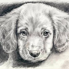 Схема вышивки «№585868»