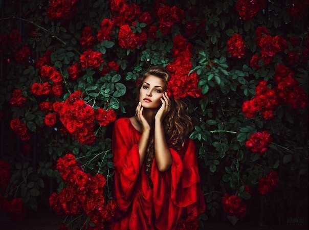 женщина в красном - портрет, женщина, цветы - оригинал