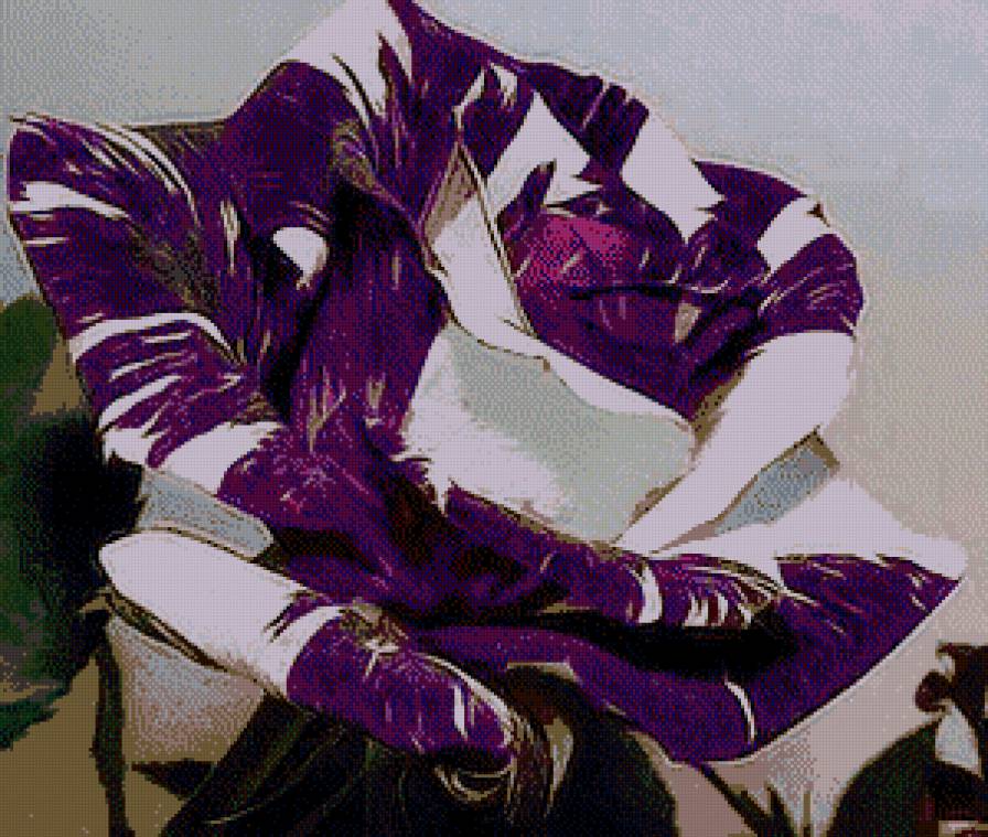 №586118 - розы - предпросмотр