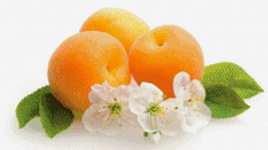 персики - персик, цвет, фрукты, натюрморт, кухня - предпросмотр