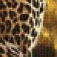 Предпросмотр схемы вышивки «тигр» (№586236)