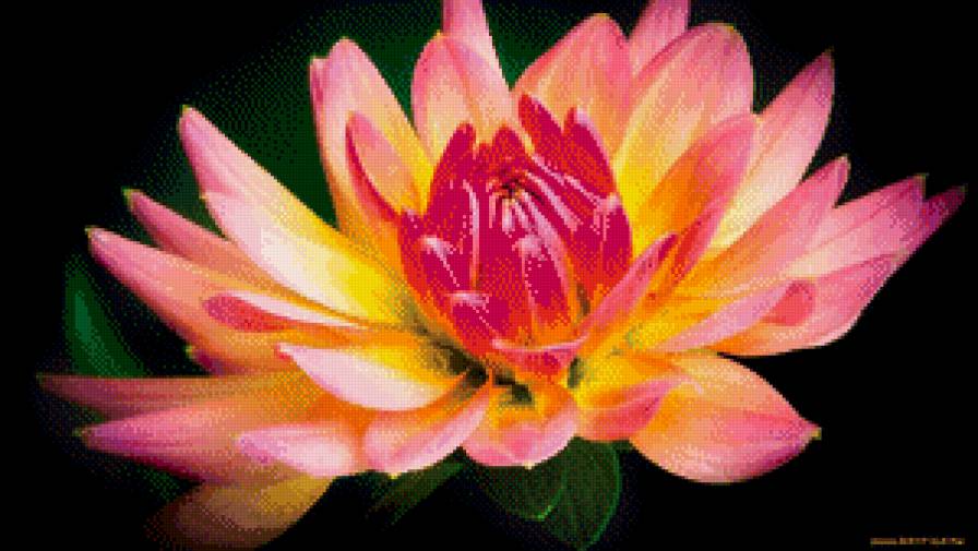 12 - цветы - предпросмотр