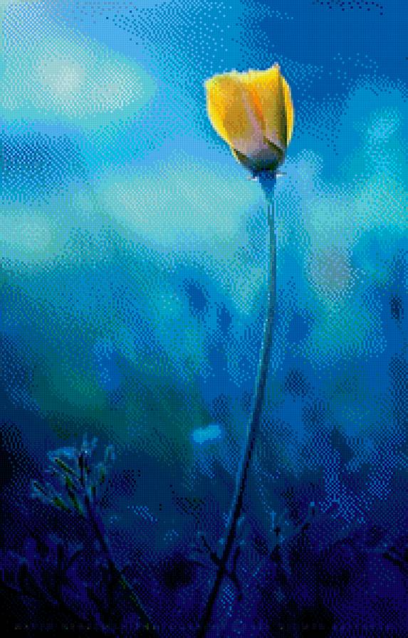 Голубое и жёлтое - цветы - предпросмотр