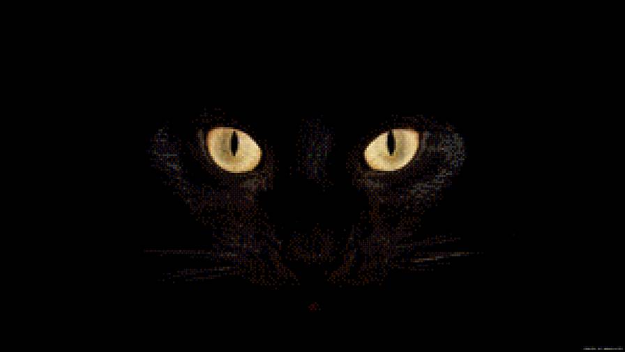 53 - животные, кошки - предпросмотр