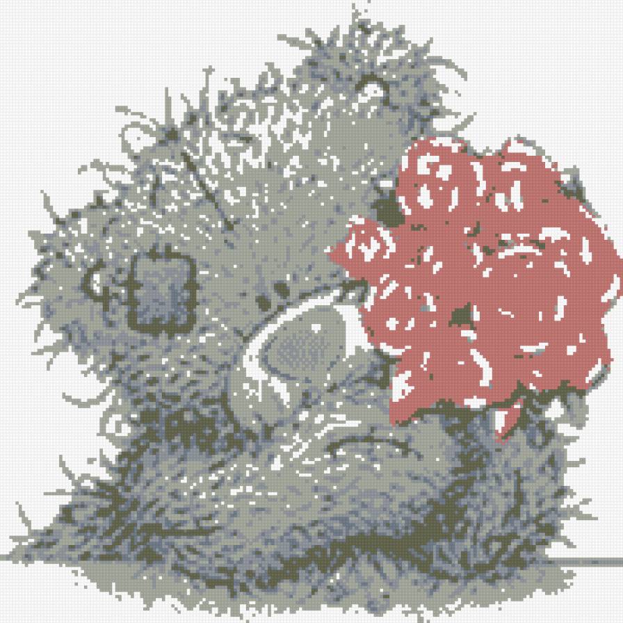 Тедди - предпросмотр