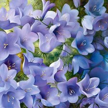 Схема вышивки «колокольчики»