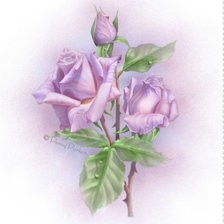 Схема вышивки «№586623»