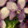 Предпросмотр схемы вышивки «№586635»