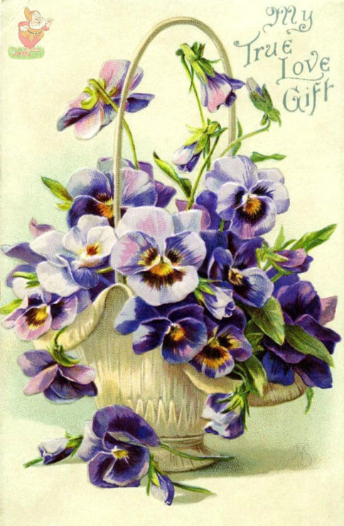 №586647 - оригинал