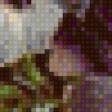 Предпросмотр схемы вышивки «№586651»