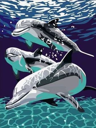 Жители морей - море, дельфины, морской пейзаж - оригинал