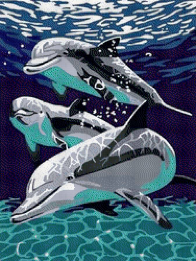 Жители морей - морской пейзаж, дельфины, море - предпросмотр