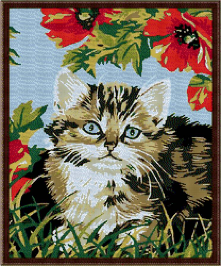 Кот в цветах - цветы, животные, коты - предпросмотр