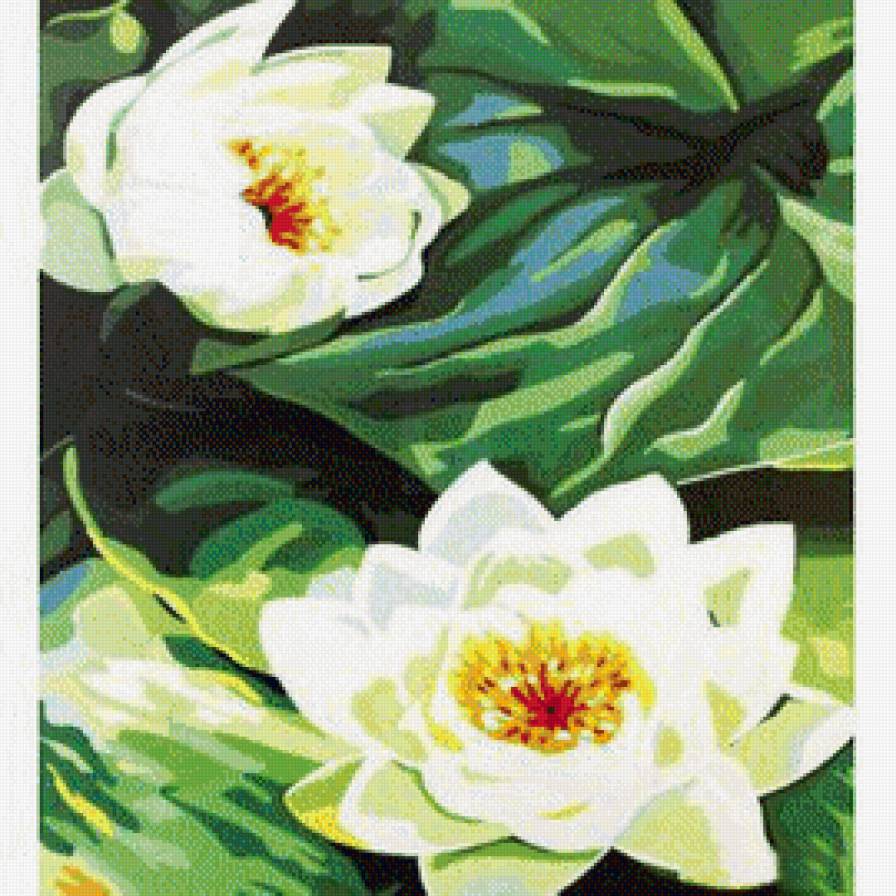 Лотосы - восток, цветы, азия - предпросмотр